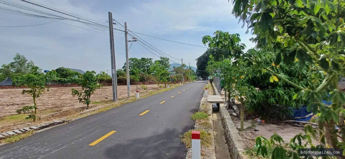 Bán bất động sản mặt tiền (2000m2) - Hình ảnh 2