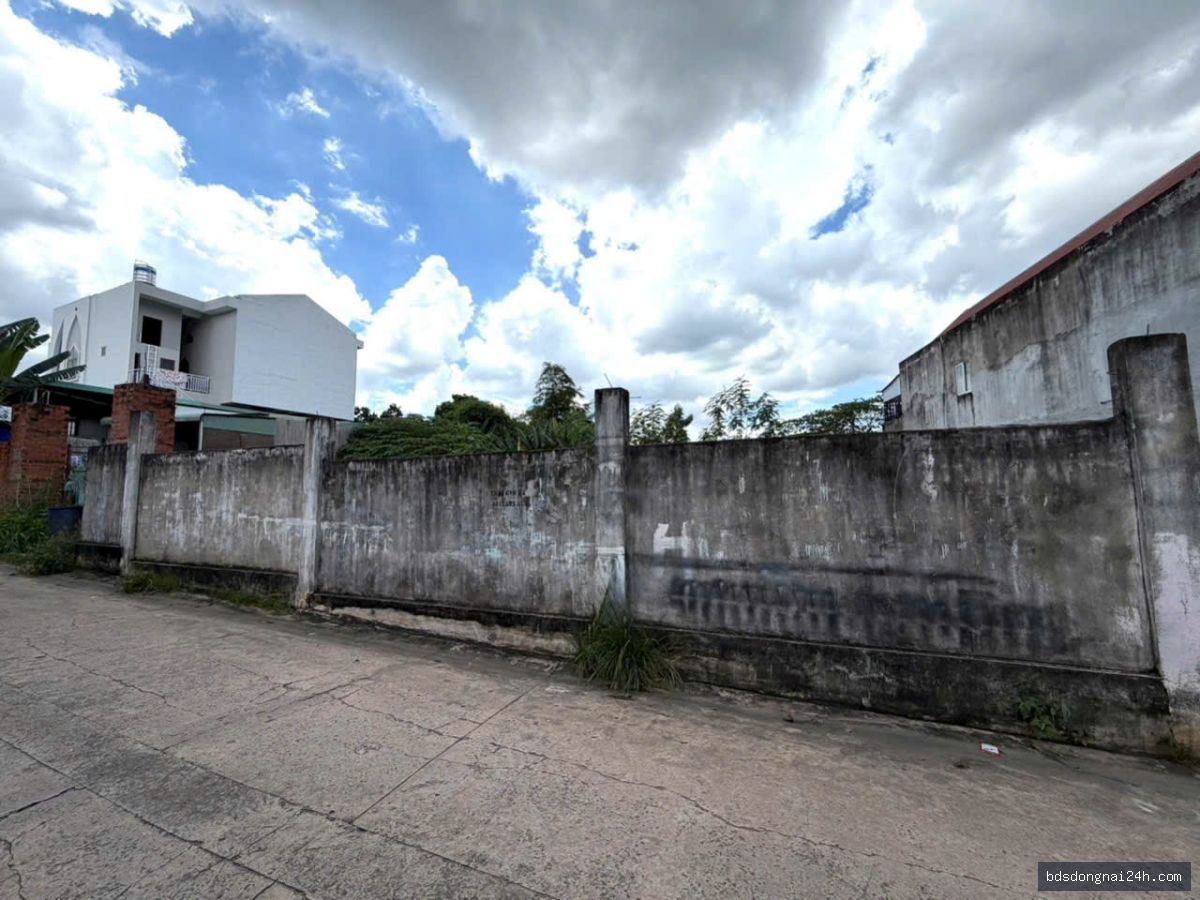 Bán đất nền (523m2) - Hình ảnh 3