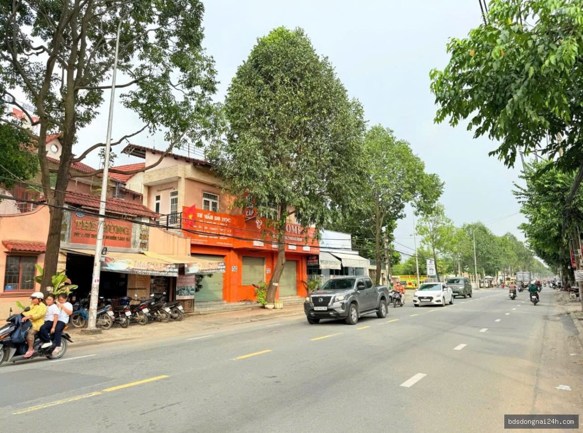 Bán mặt bằng kinh doanh, mặt tiền (114m²) - Hình ảnh 6