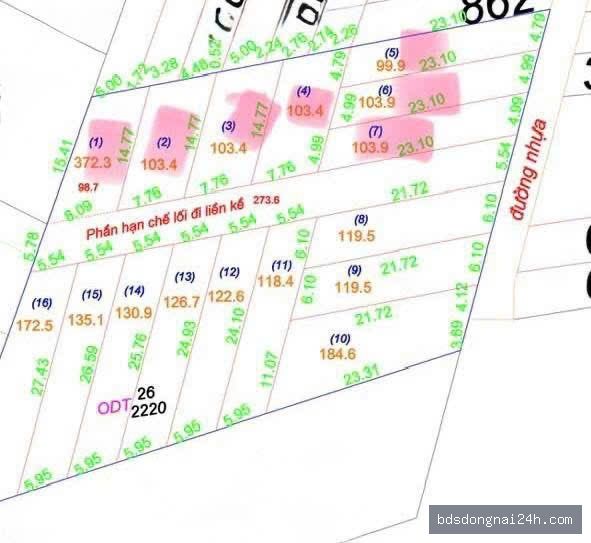 Bán đất thổ cư 100% tại Trảng Dài, Biên Hòa (117m²)