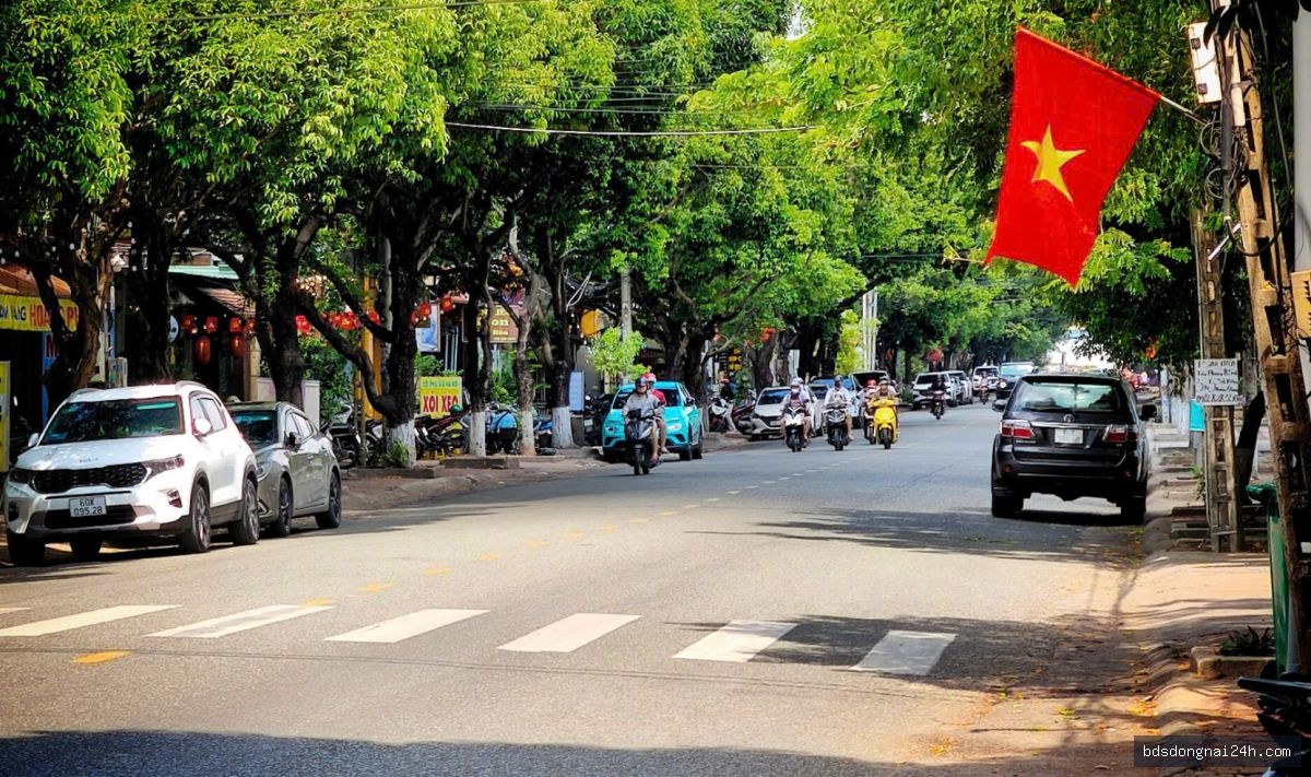 Bán biệt thự, mặt tiền tại Thống Nhất, Biên Hòa (450m²) - Hình ảnh 6