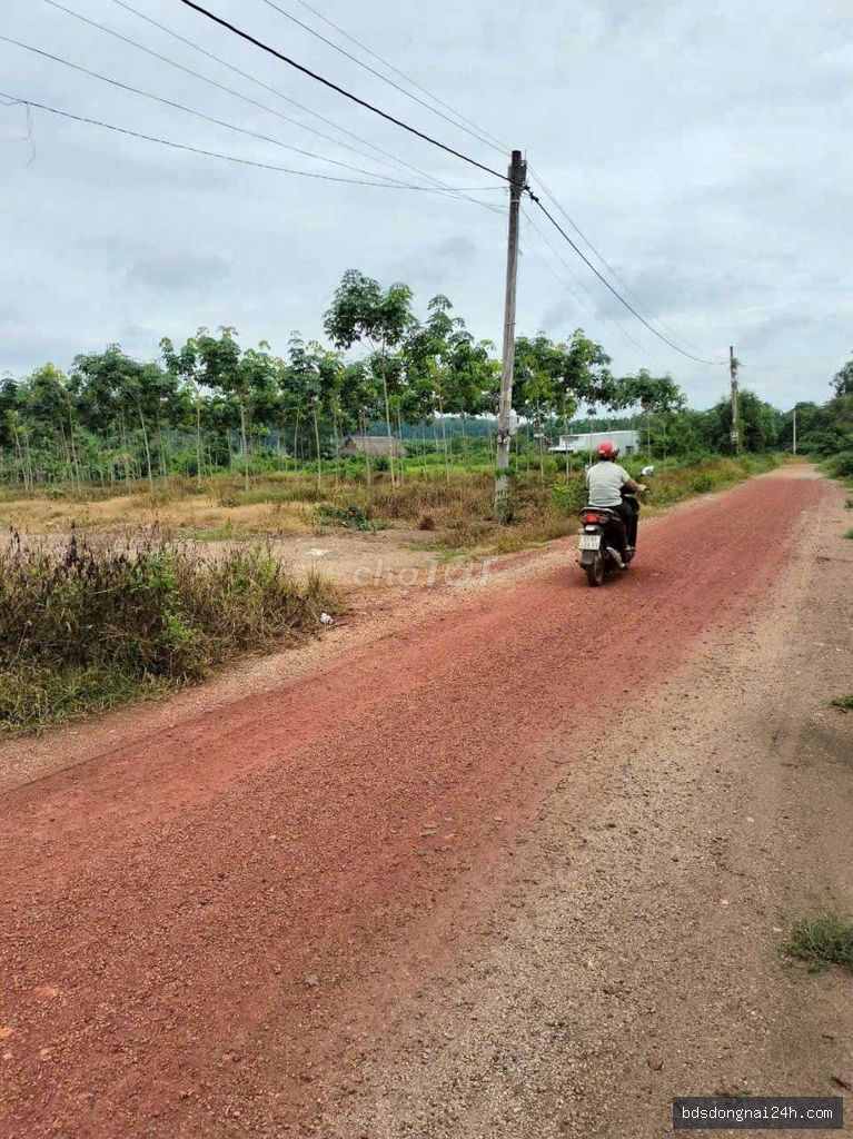 Bán bất động sản mặt tiền (1200M2) - Hình ảnh 2
