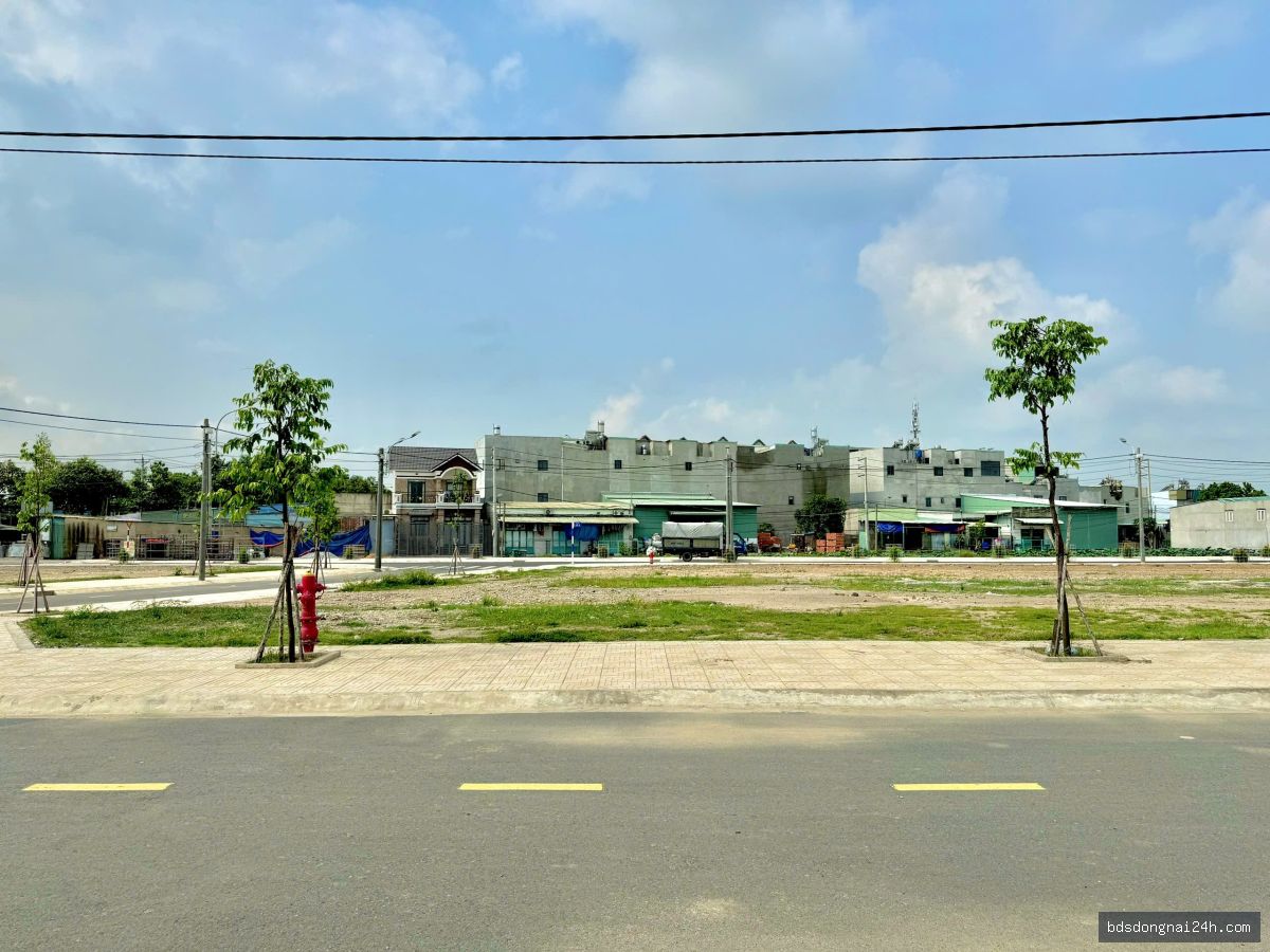 Bán đất tái định cư mặt tiền (80m²) - Hình ảnh 2