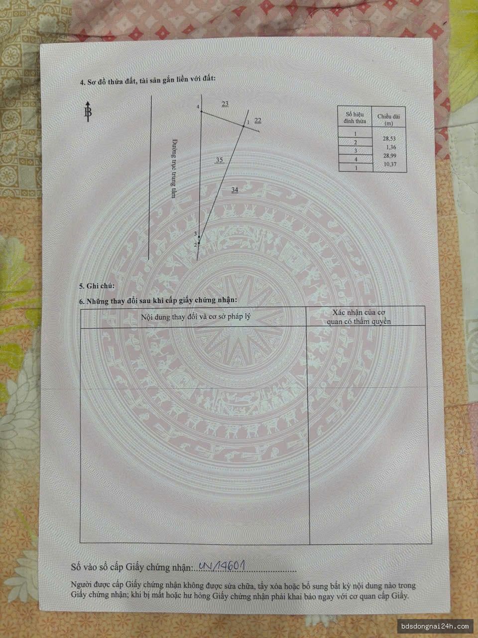 Hình ảnh bất động sản