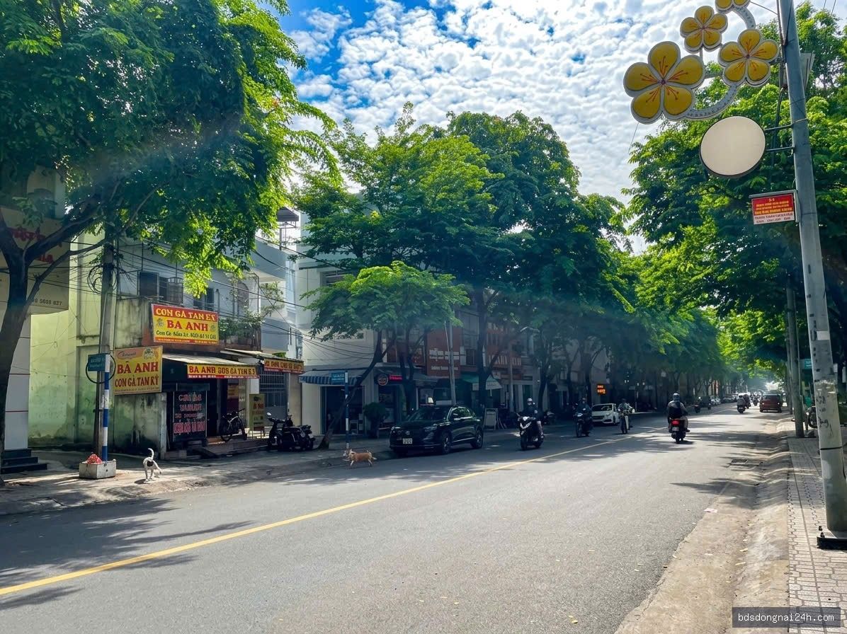Bán đất nền, mặt tiền (56m²) - Hình ảnh 10