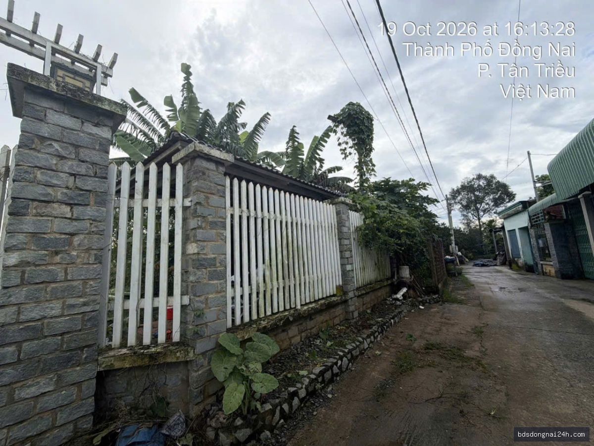 Bán bất động sản tại Tân Triều (1000m2) - Hình ảnh 2