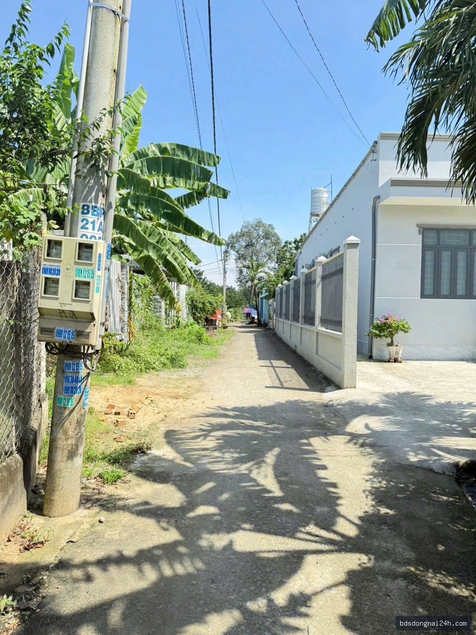 Hình ảnh bất động sản