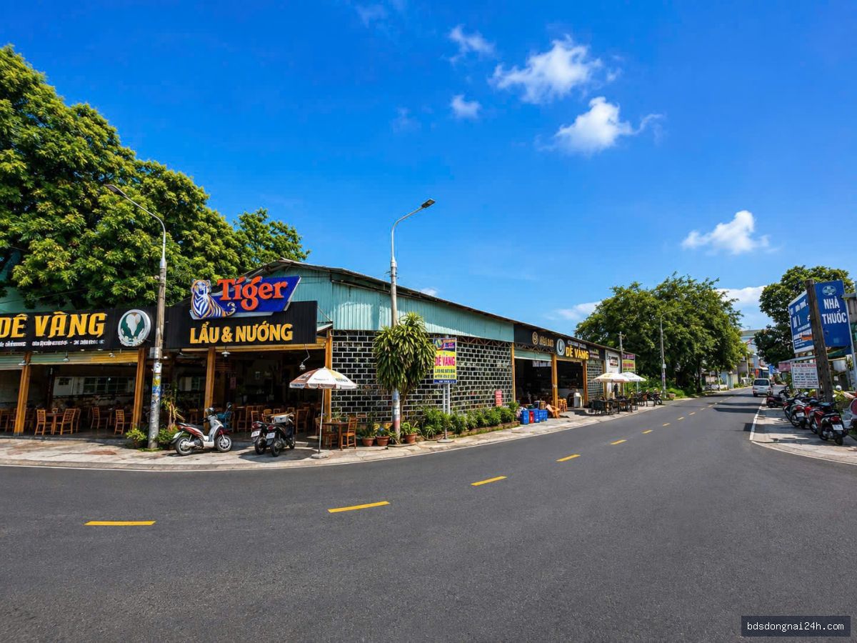 Bán đất nền mặt tiền tại Tam Hiệp, Biên Hòa (240m²) - Hình ảnh 6