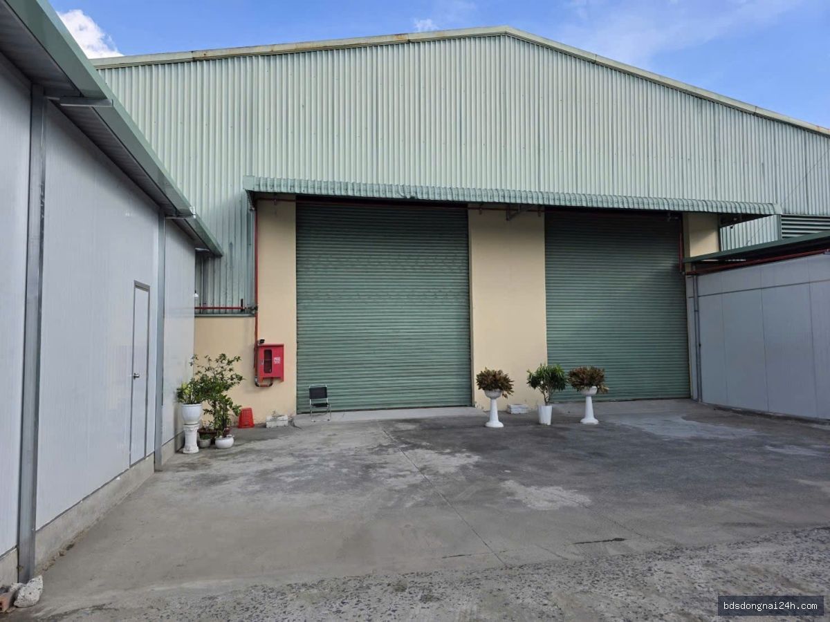 Bán kho xưởng mặt tiền (1300m²)
