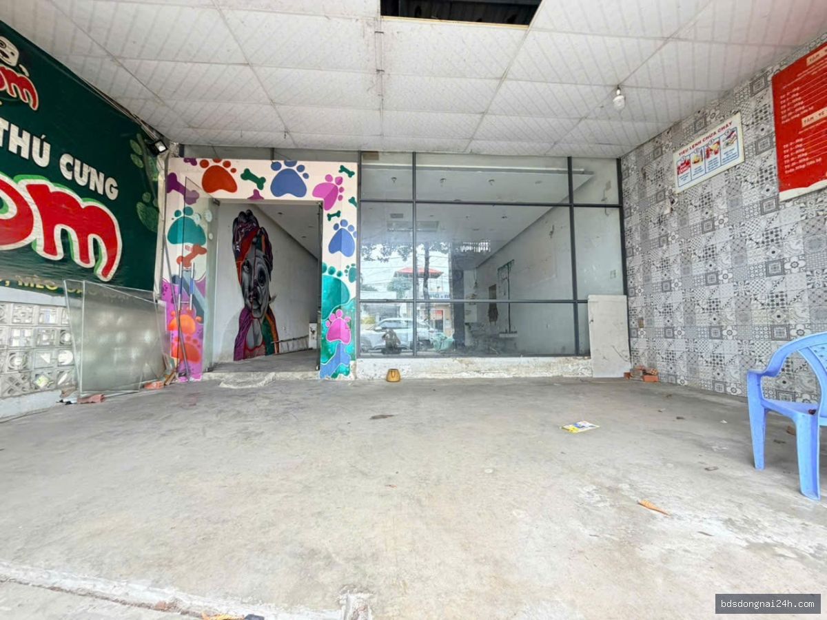 Bán mặt bằng kinh doanh mặt tiền, gần chợ tại Tam Hiệp, Biên Hòa (193m²) - Hình ảnh 5