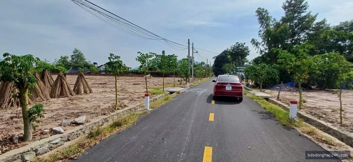 Bán bất động sản mặt tiền (2000m2) - Hình ảnh 4