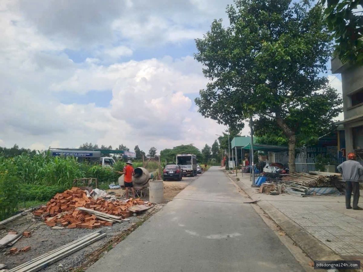 Bán đất thổ cư 100% (140m²) - Hình ảnh 4