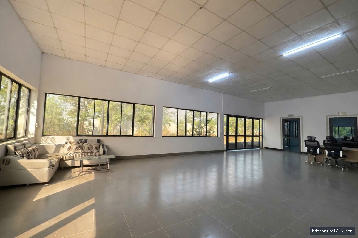Cho thuê kho xưởng (18.000m²) - Hình ảnh 8