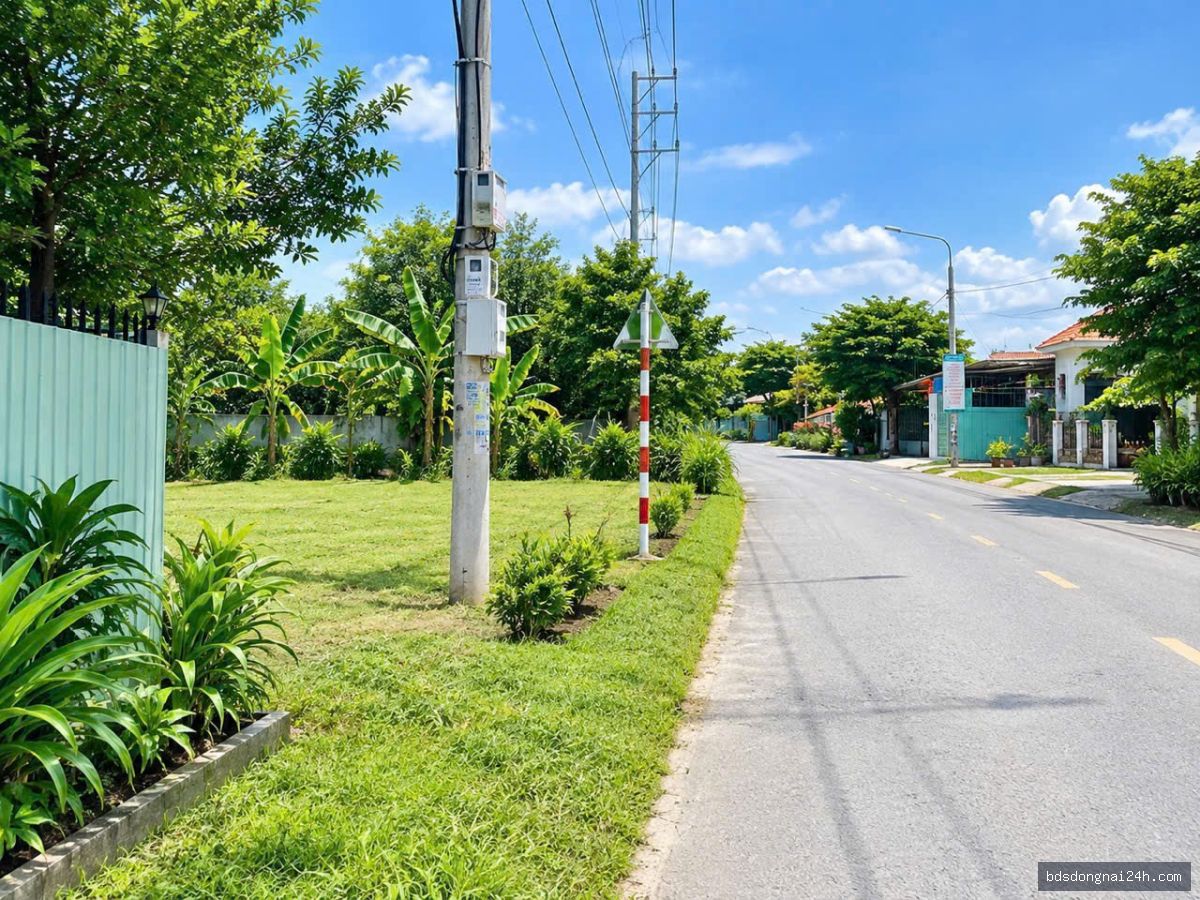 Bán kho xưởng mặt tiền (1417.5m²)