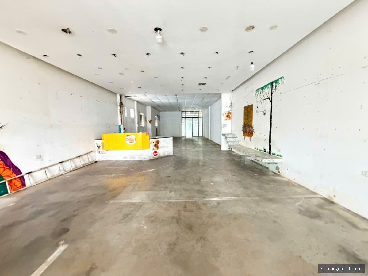 Bán nhà cấp 4 mặt tiền, gần chợ tại Tam Hiệp, Biên Hòa (193m²) - Hình ảnh 5
