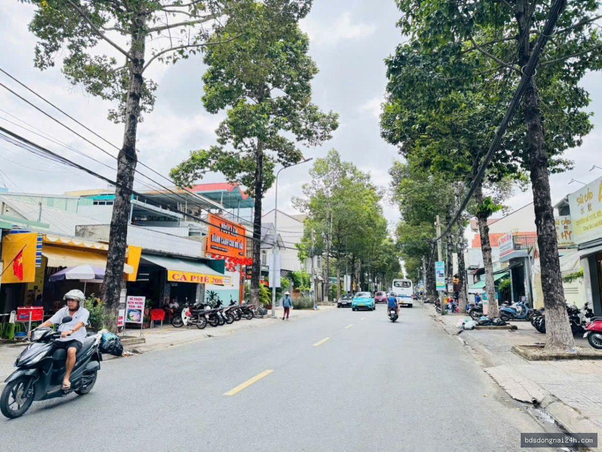 Cho thuê nhà cấp 4 mặt tiền, gần chợ tại Tam Hiệp, Biên Hòa (193M²) - Hình ảnh 4