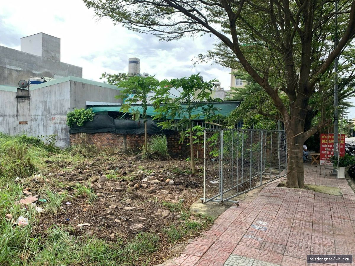 Hình ảnh bất động sản