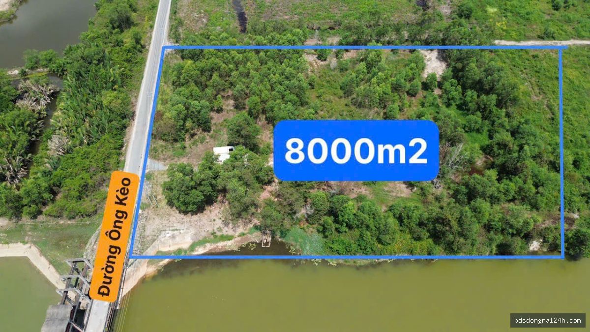Bán đất nền (9000m2)