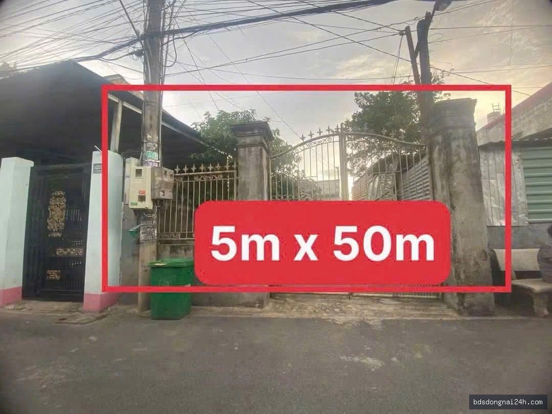 Hình ảnh bất động sản