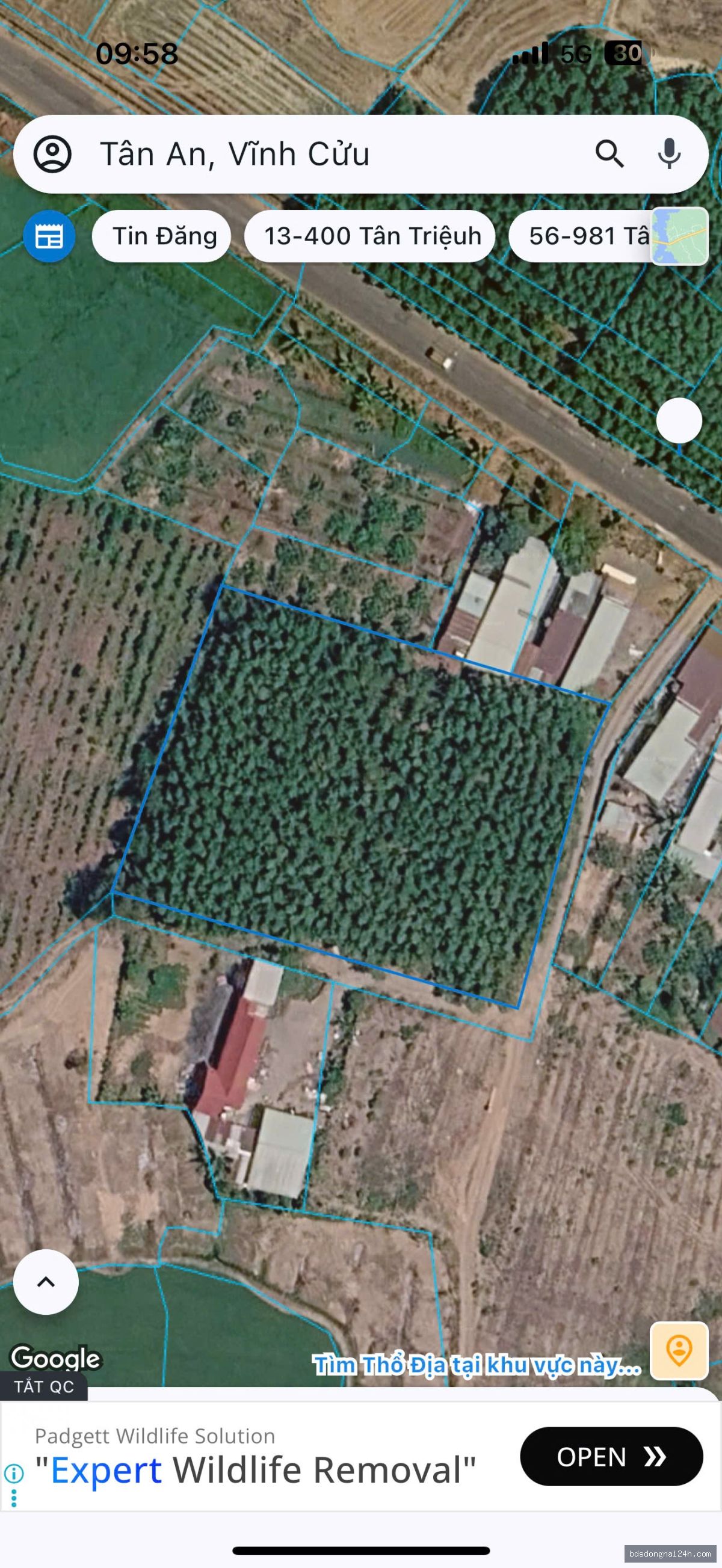 Bán bất động sản, mặt tiền tại Vĩnh Cửu (3.900m²) - Hình ảnh 2