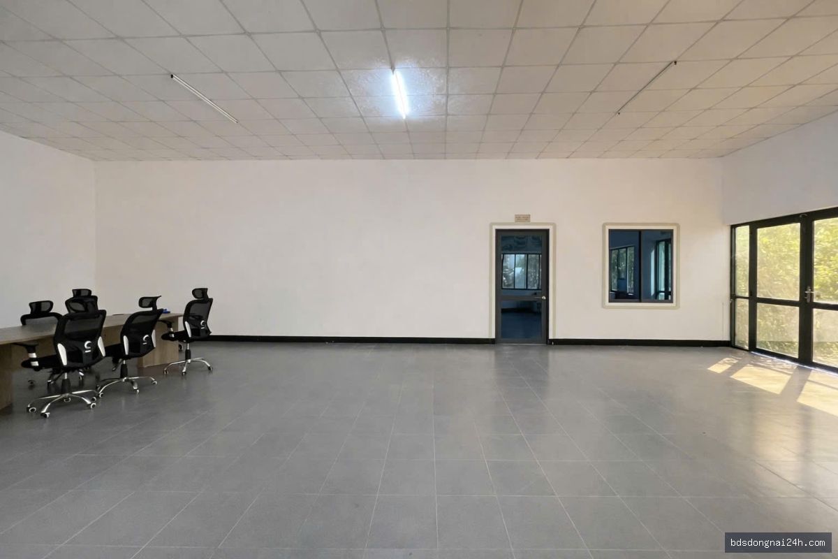 Cho thuê kho xưởng (18.000m²) - Hình ảnh 11