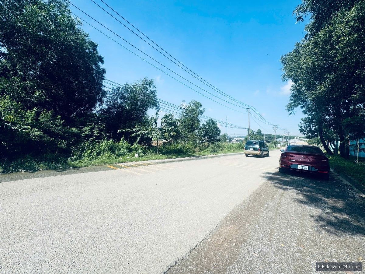 Bán kho xưởng tại Hố Nai, Biên Hòa (2000m2) - Hình ảnh 4