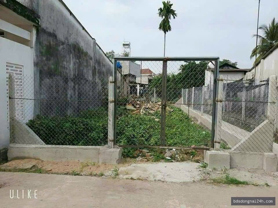 Hình ảnh bất động sản
