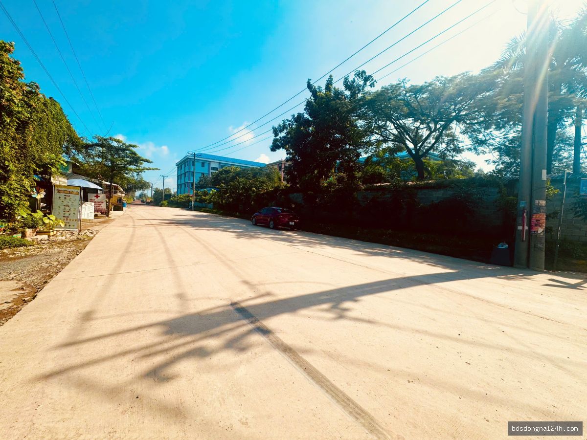 Bán kho xưởng tại Hố Nai, Biên Hòa (2000m2) - Hình ảnh 7