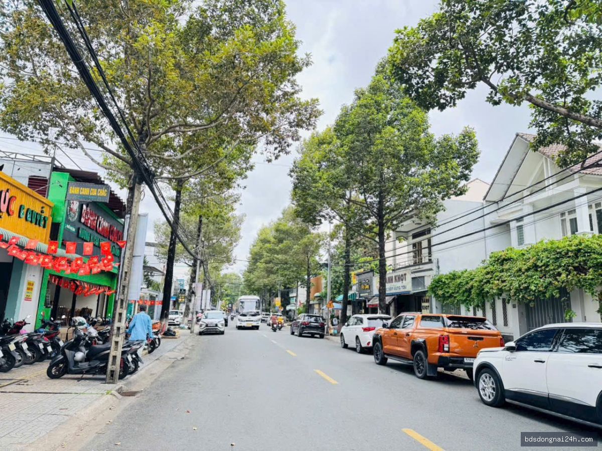 Cho thuê nhà cấp 4 mặt tiền, gần chợ tại Tam Hiệp, Biên Hòa (193M²) - Hình ảnh 5