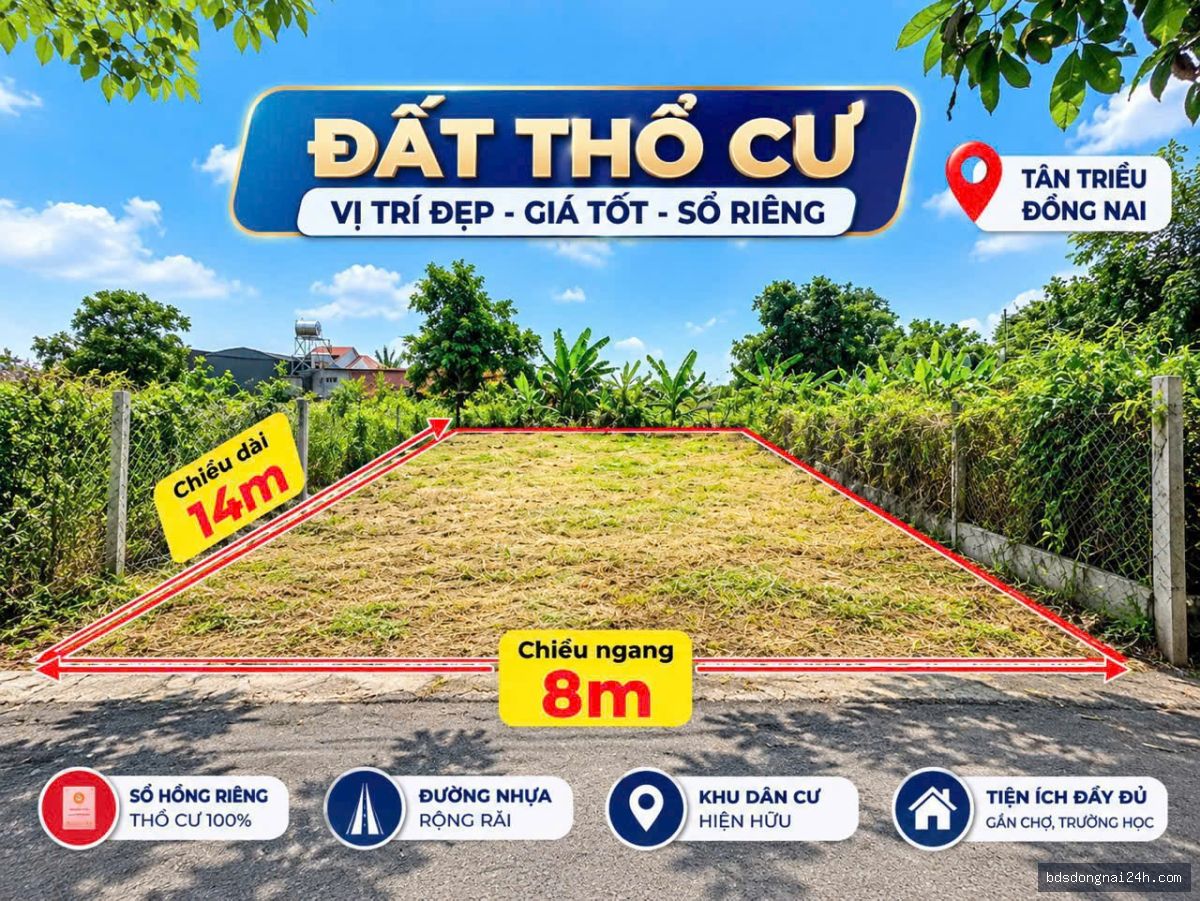 Bán lô đất biệt thự, mặt tiền tại Tân Triều (112m²) - Hình ảnh 3