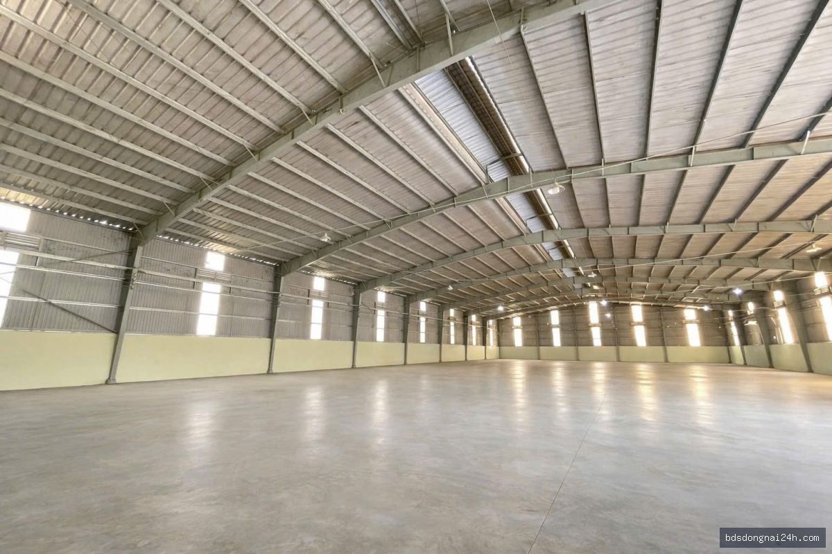 Cho thuê kho xưởng (18.000m²) - Hình ảnh 4