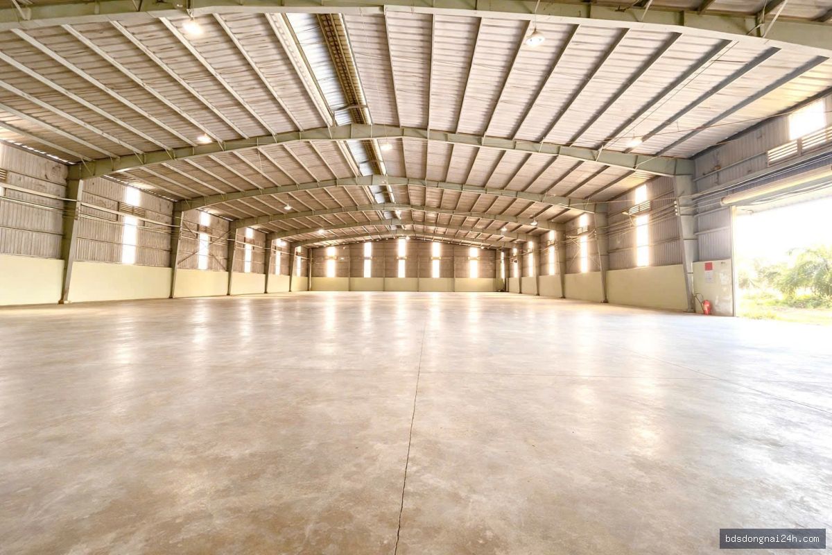 Cho thuê kho xưởng (18.000m²) - Hình ảnh 3