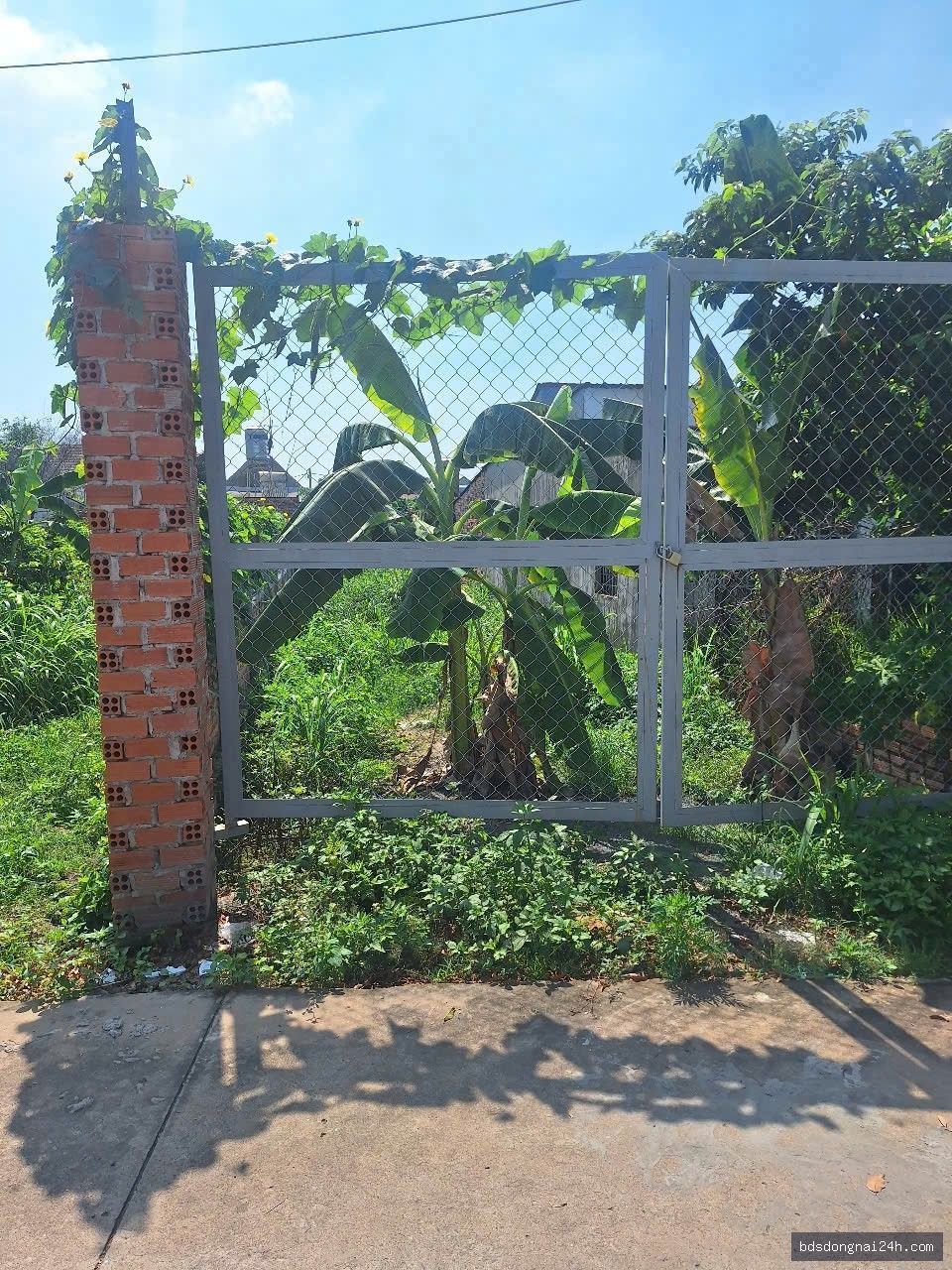 Bán đất nền tại Trảng Dài, Biên Hòa (150m²)