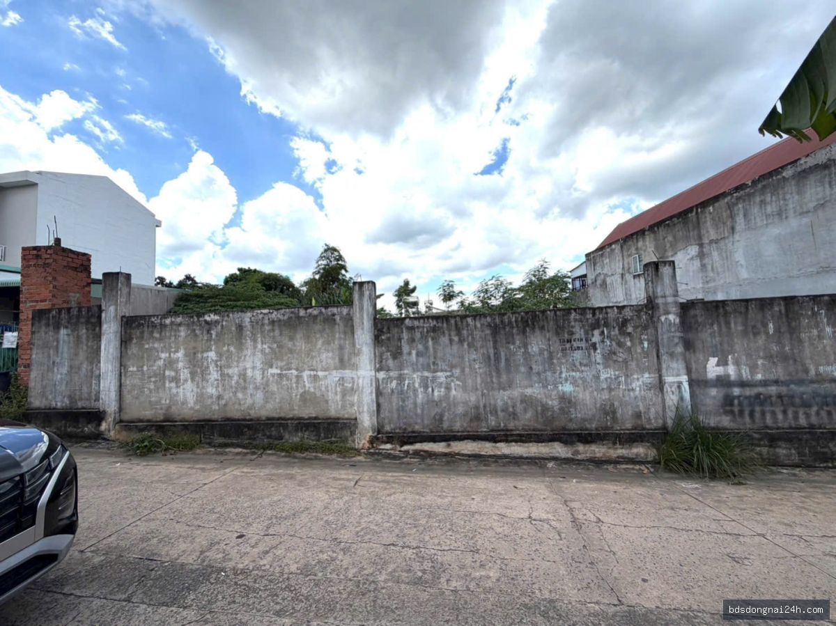 Bán đất nền (523m2) - Hình ảnh 2