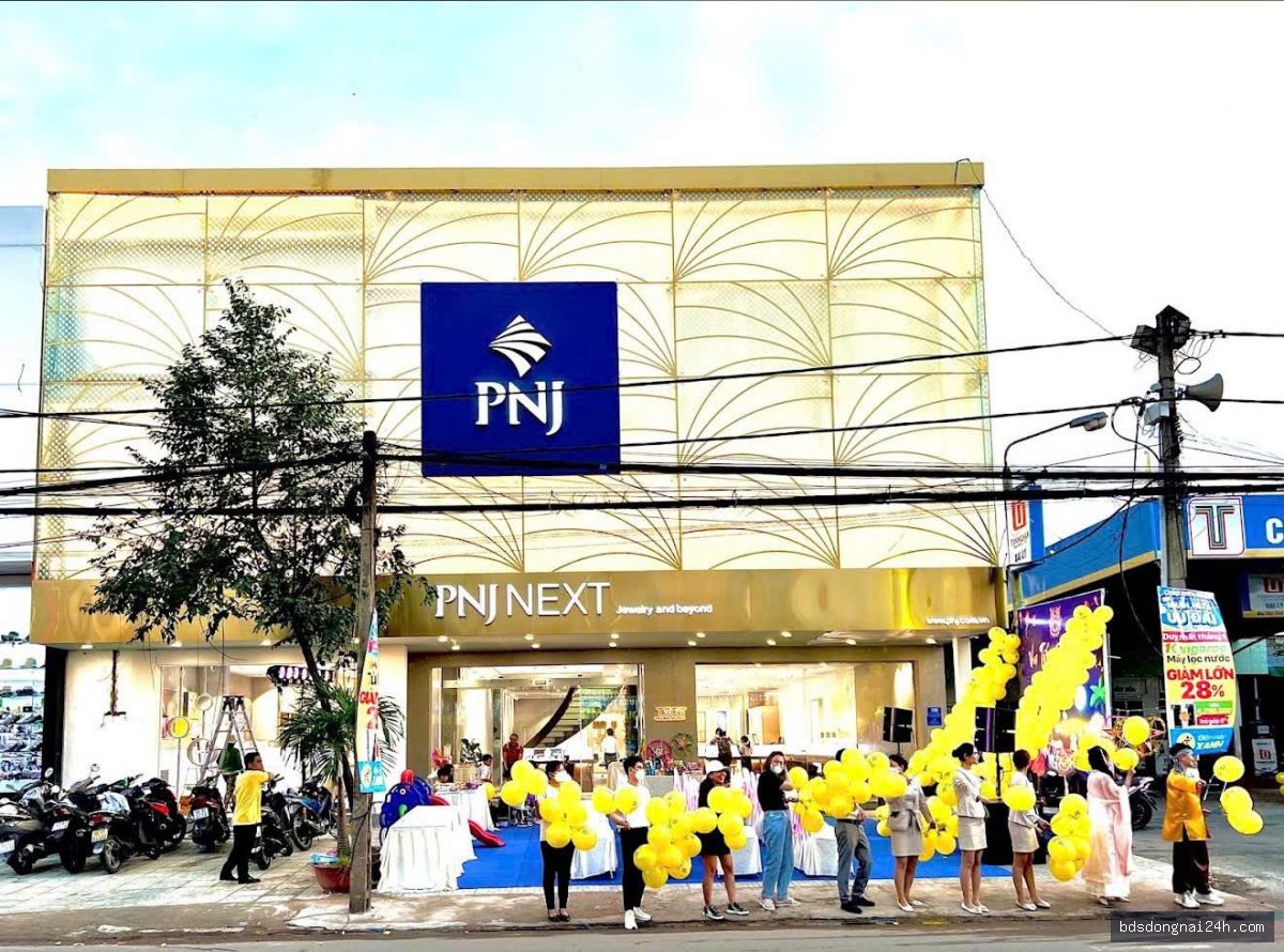Cho thuê bất động sản mặt tiền tại Tam Hiệp, Biên Hòa (1.150m²) - Hình ảnh 2
