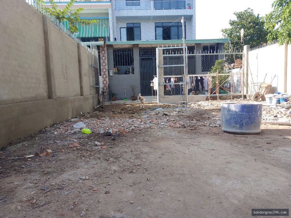 Bán đất nền tại Long Bình, Biên Hòa (100m2) - Hình ảnh 2