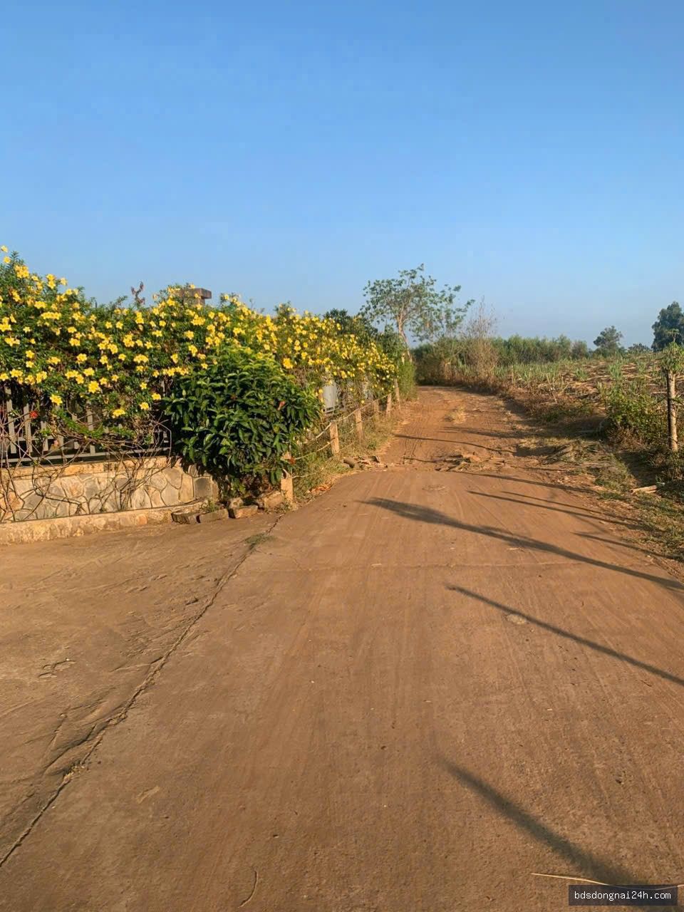 Bán bất động sản mặt tiền tại Long Thành (4.500 m²) - Hình ảnh 2