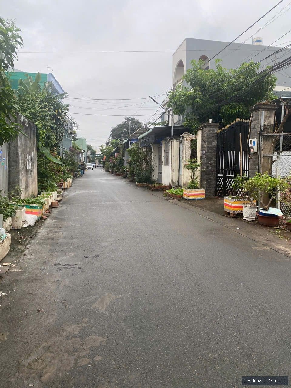 Hình ảnh bất động sản