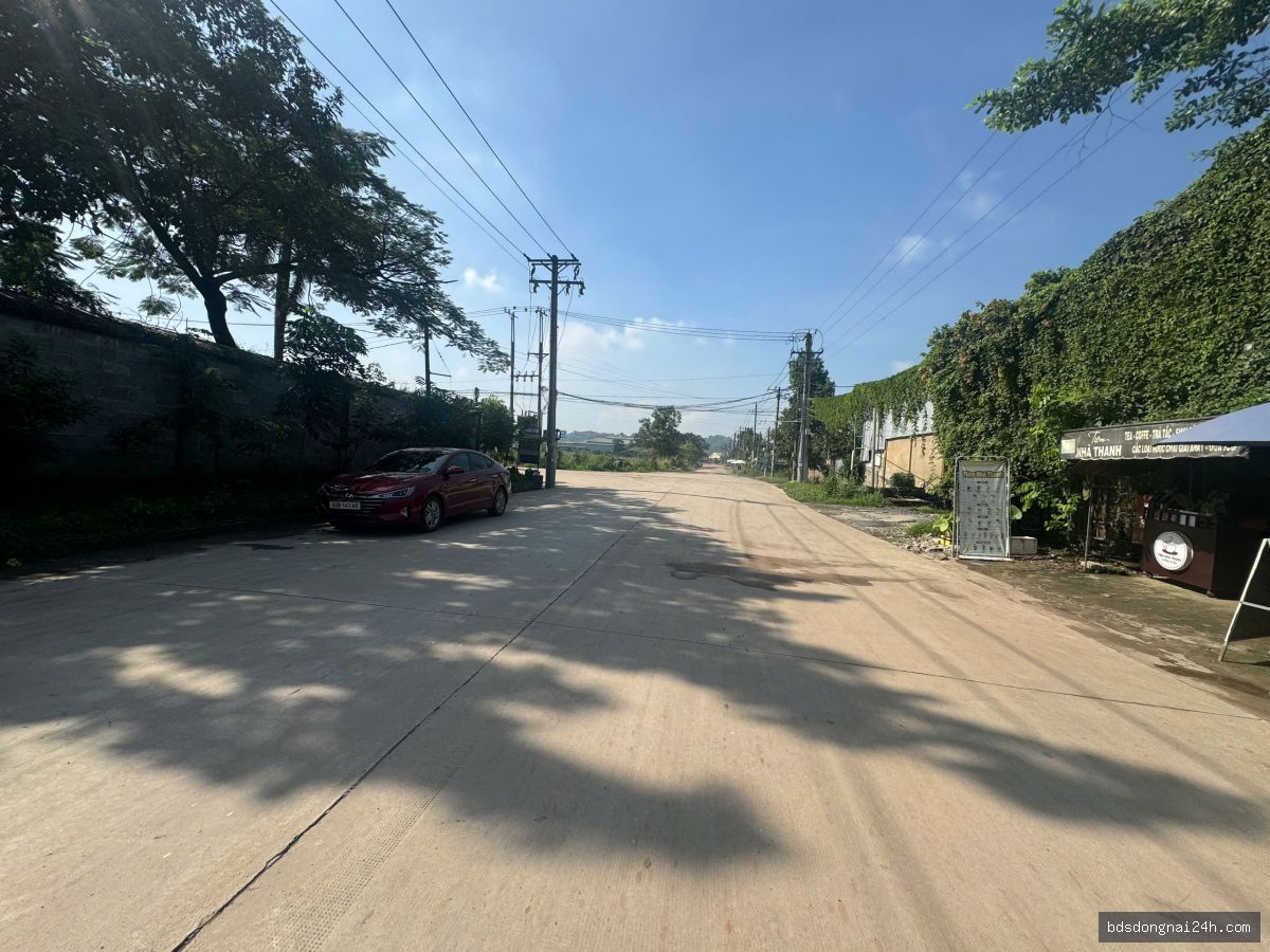 Bán kho xưởng tại Hố Nai, Biên Hòa (2000m2) - Hình ảnh 8
