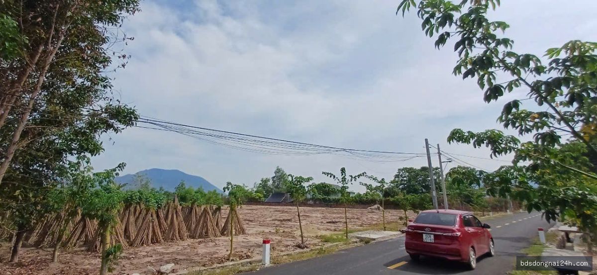 Bán bất động sản mặt tiền (2000m2)