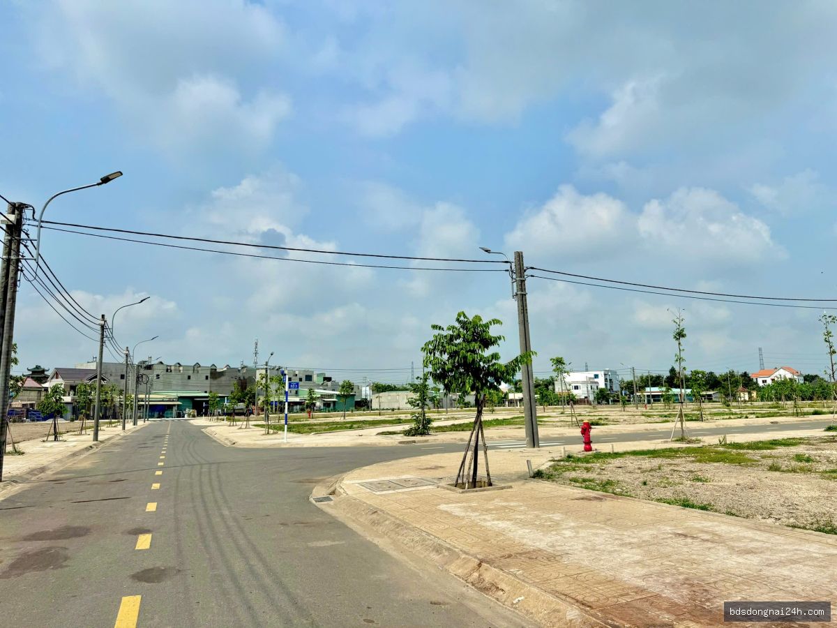 Hình ảnh bất động sản