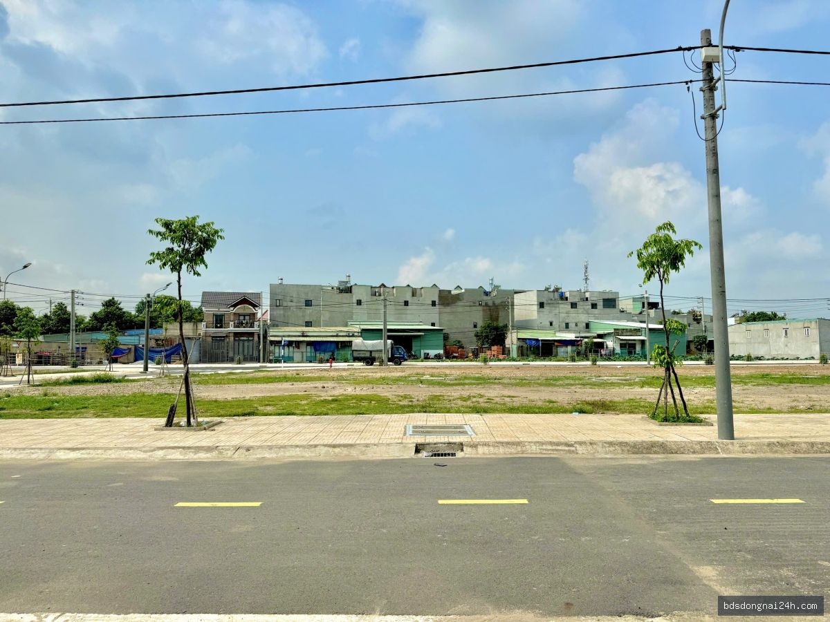 Hình ảnh bất động sản