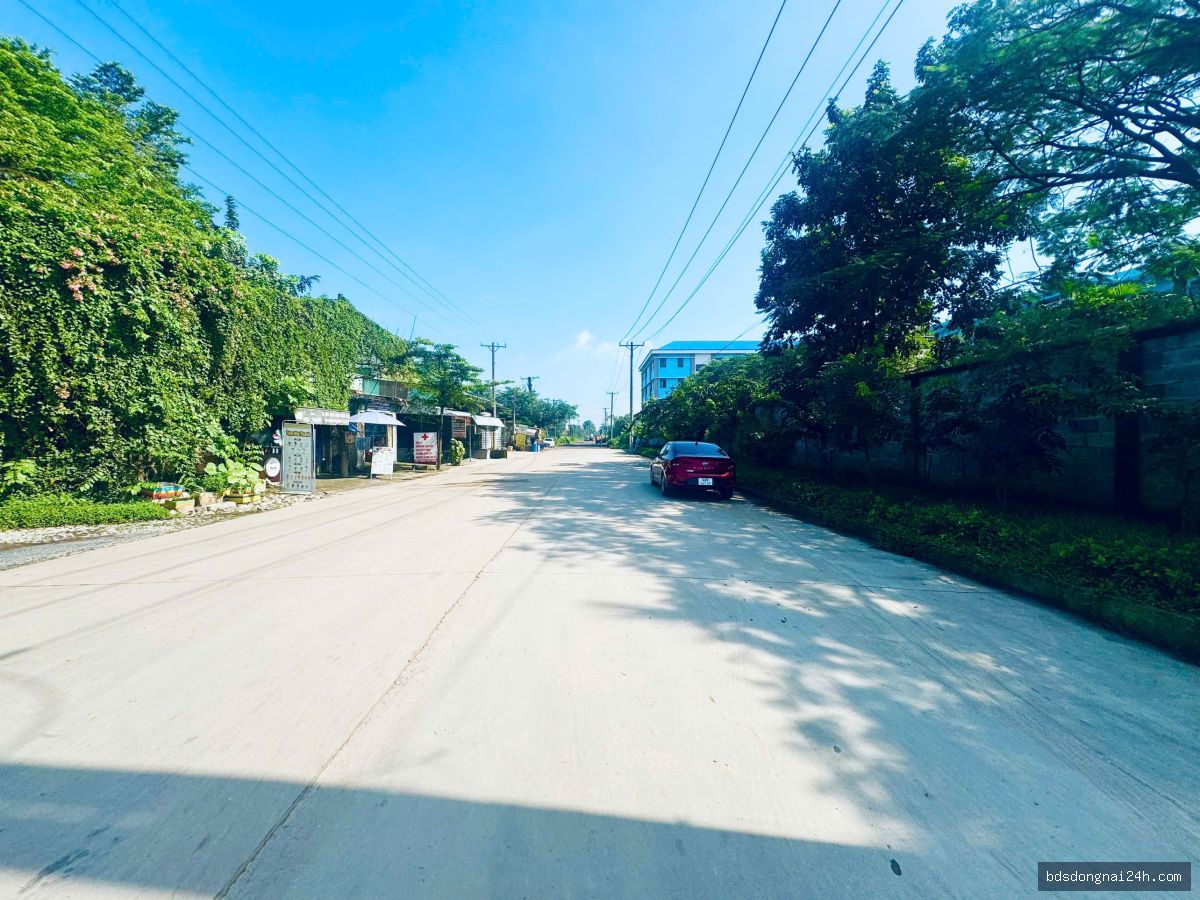 Bán kho xưởng tại Hố Nai, Biên Hòa (2000m2) - Hình ảnh 5