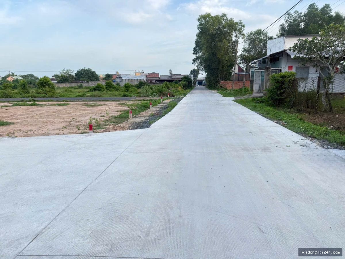 Bán đất nền tại Long Thành - Hình ảnh 5