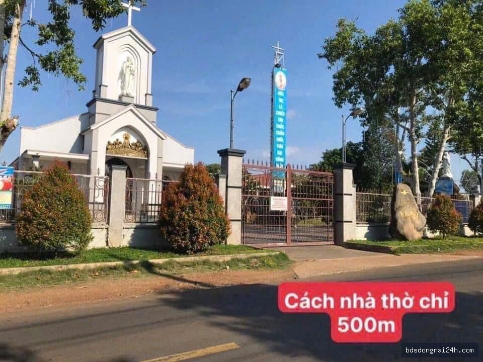 Bán nhà cấp 4 tại Long Thành (11.000m²) - Hình ảnh 3