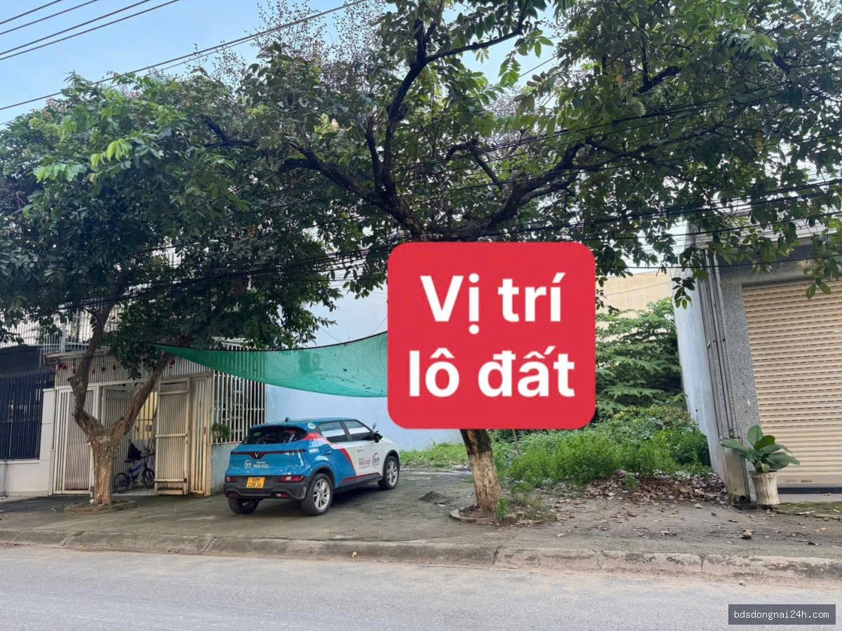 Bán mặt bằng kinh doanh mặt tiền (115m²) - Hình ảnh 2