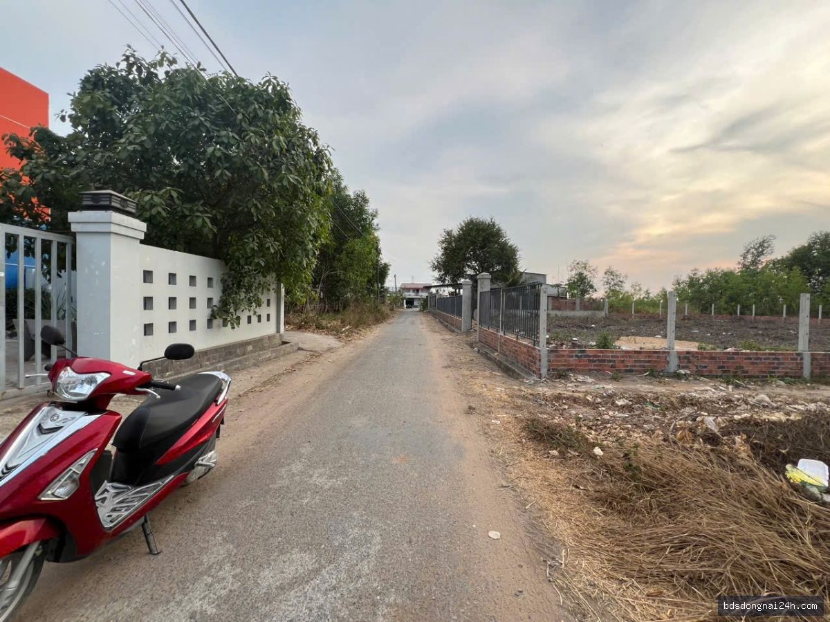 Bán đất nền (115m²) - Hình ảnh 5