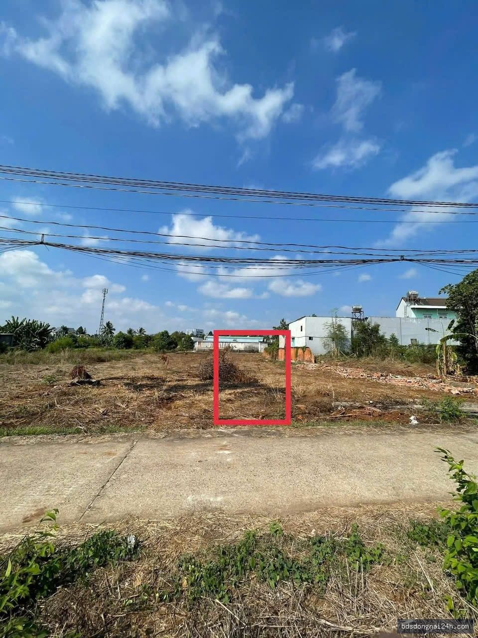 Bán đất thổ cư 100% (100m²) - Hình ảnh 3