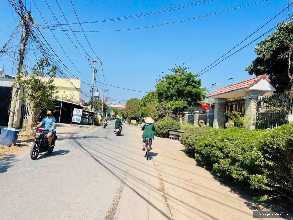 Bán bất động sản, mặt tiền tại Long Thành (100m²) - Hình ảnh 3