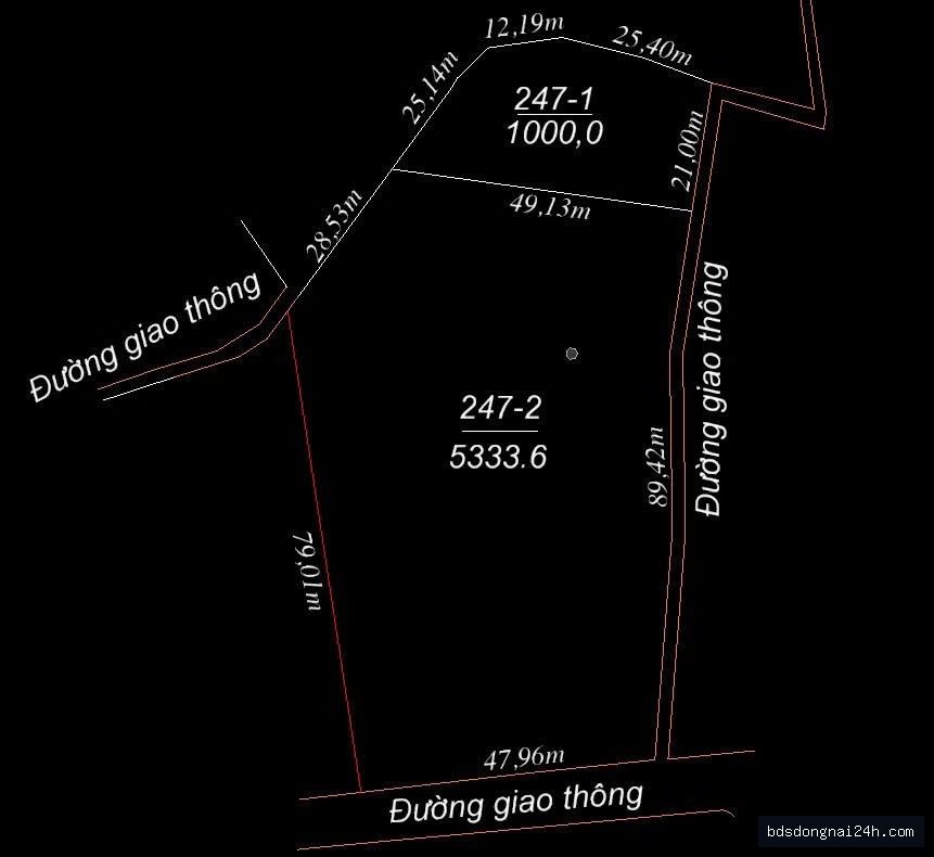 Bán đất nền (1.000m²) - Hình ảnh 3